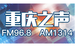 正当时——西南大学美术学院2023届毕业作品展开幕 