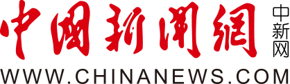 10国留学生在重庆感受西部陆海新通道建设新貌 