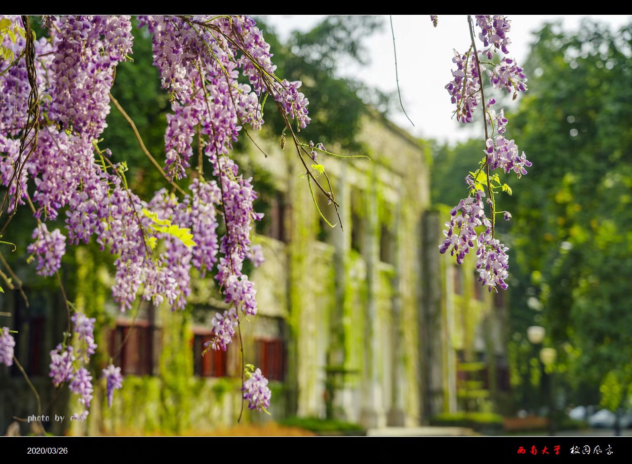 妇女节特辑 | 众里寻“她”千百度