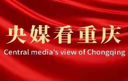 更殚余力付樵苏——记中国工程院院士向仲怀 