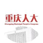 全国人大代表赵玉芳：中外联建实验室柔性引进高层次人才 