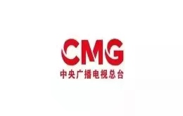 屈“纸”可“数”！探秘折纸中的奇妙数学世界 