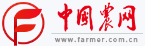 集成技术抗旱减灾提升甘薯单产 